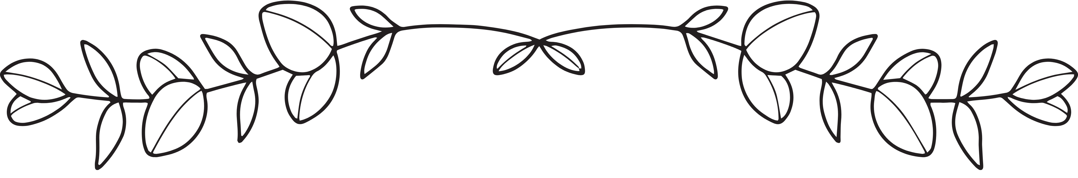 Section Delimiter